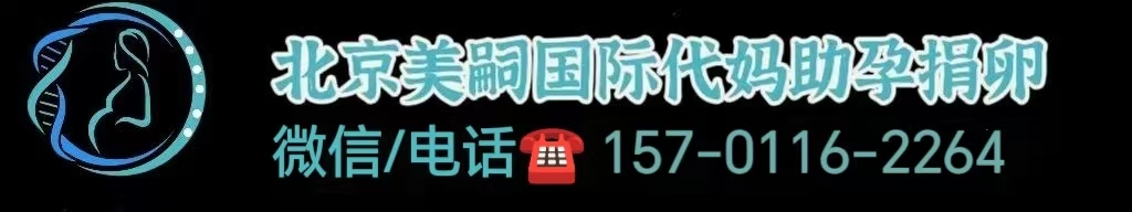 同性恋生孩子试管能成功吗